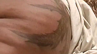 BBC Took Me by Surprise While I Was Resting.