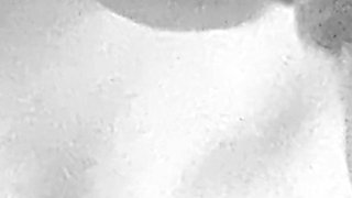 Gray Echoes Presentation