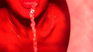 A New Human Toilet with Private Flush V 08/12/2023