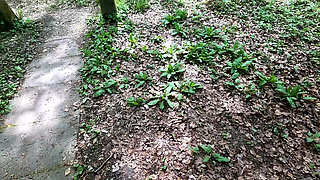 Beating Breasts and Whipping Labia at Picnic