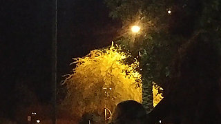 Thick BBW Wife Public Fun!