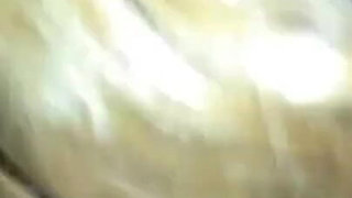 Coota Dancing Dick A2M