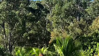 Gracewearslace's Outdoor Sex