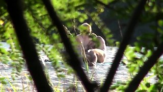 Voyeur captures amateur couple having sex on the beach