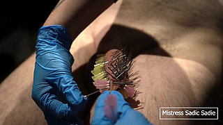 107 Needles CBT