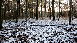Throwing Snow Balls on Her Naked Tits in the Woods