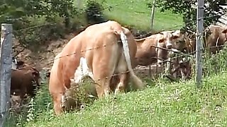 Pierced German blonde tied and spanked before hot outdoor fuck