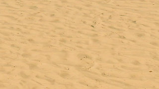 Ep9: Fucking Veronika by the Hotel Pool - Grand Tits Adventure (gameplay)