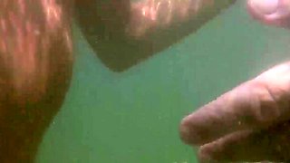 Webcam Spanish Amateur Webcam Free Big Boobs Porn
