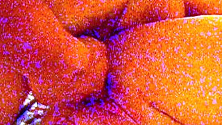 Student Threesomes Hardcore Black Angelika Britney Anal