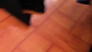 Small titted Asian deep nub and ass fuck