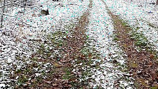 Naked through the woods and beating breasts warm