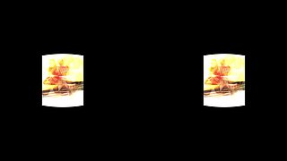 Sensual Massage Hapyend Threesome