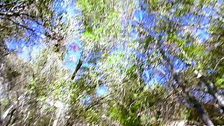 BFFs-Three Pussy Teen Camping