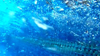 Big boobs have solo masturbation