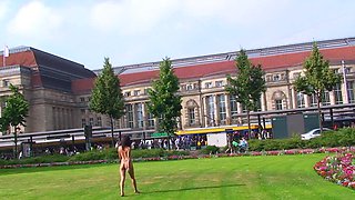 Brunette Amateur Sucks Stranger In Public Cash Stunt