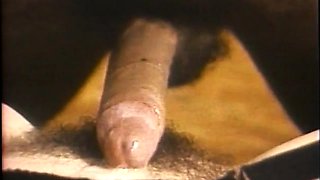 Amateur Blowjobs with Horny Big Titted Brunettes