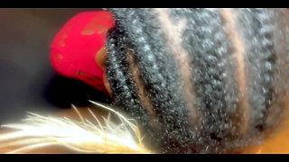 I Just Love When My Stepdaddy Shoves His Finger up My Tight Ass While He Fucks My Pussy