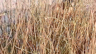 Couple Caught on Camera Having Sex on the Beach