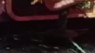 Stepmother Christmas the Dominatrix - 2