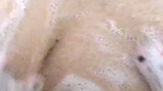 Slippery When Wet Sudstravaganza