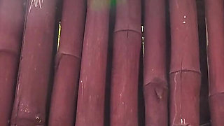 Before the Scene Things Got Distracting