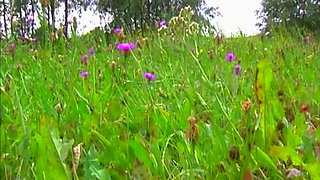 Vintage Jenna Red Sucks and Rides Hard Cocks