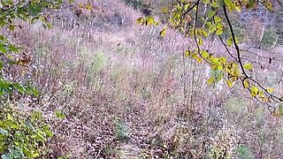 Risky Public Hiking Trail Striptease Leads to POV Blowjob