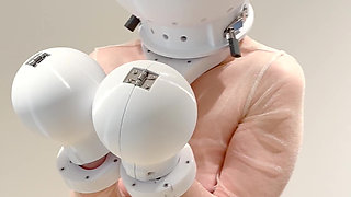 Slave Doll Aaruna Diary 40