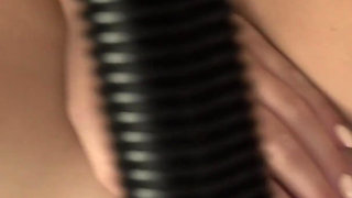 Bored Bitches - Mila Fox