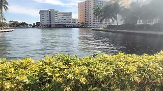 By the Pool at My Friends Apartment.. I Cant Wait to Be Settled Into My Condo Next Week so I Can Hit up My Gym and Beach!