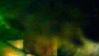 College Amateur Girls Throw Group Sex Party