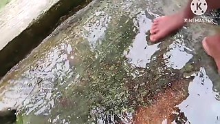 Desi Bhabhi Ne Belan Se Chut Chudai Ki