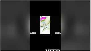 We Are In Russia Trip Vacation Bigdick Ebony Pretty Pussy Air Bnb