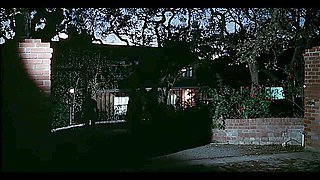 Handsome Nectarines Prtt Pchs (desiree C) (1978, Usa, Classixxx) (fullhd Ai Upscale To 1440)