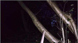 Gothic Nympho In Hexe Fucks Broom In The Forest