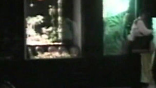 Public Toilet Quickie with Moaning Slut