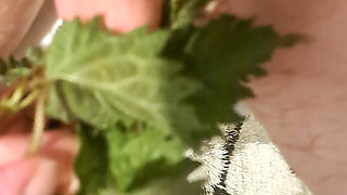 My first sounding with stinging nettles