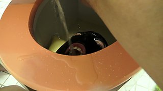 toilet slave training