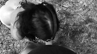 Pet Girl Obedience Training