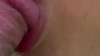 A Summer Day in the Park