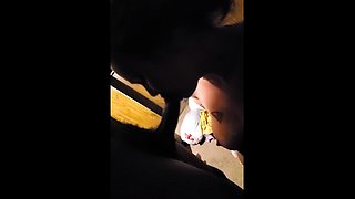 Sexy Brunette POV Blowjob Pornstars Swallow Cum