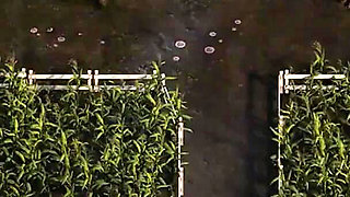 The Genesis Order V25051 Part 58 My Sexy Boss by Loveskysan69