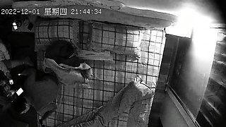 Amateur Hidden Cam with Dildo Wives