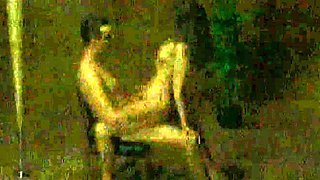Brunette Gets Nice Sex