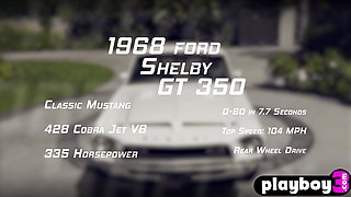 Sex Orgy of raunchy babes washed Ford Shelby