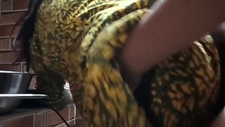 Des Girl Kitchen Room Hoti