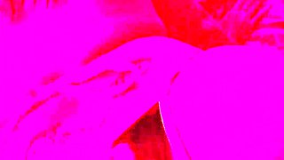 Pink Lights Miss Kitty Teases In Bikini