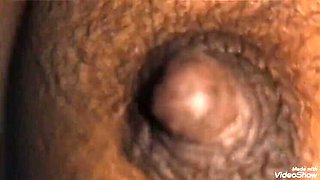 Desi Bhabhi Blowjob - Sunil Parihar sucks milk from big nipples