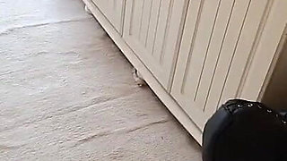 Zero Sees the New House for the First Time!